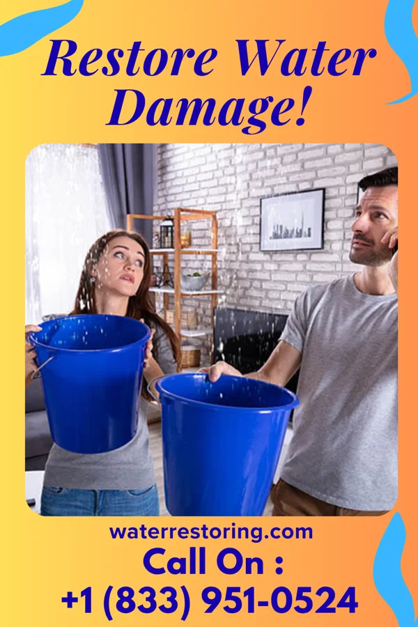 water restoration Quality Flood Specialists Sloatsburg