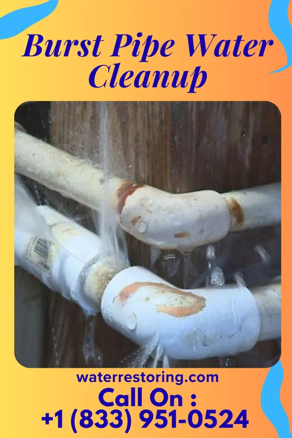 Burst Pipe Water Cleanup in Sloatsburg, NY