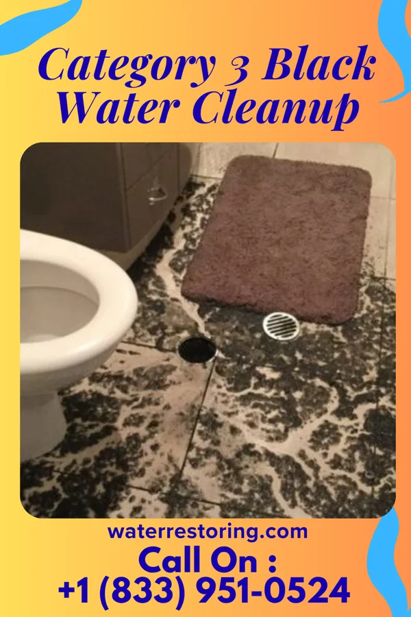 Category 3 Black Water Cleanup in Sloatsburg, NY