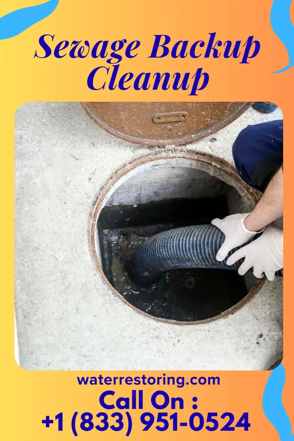 Sewage Backup Cleanup in Sloatsburg, NY