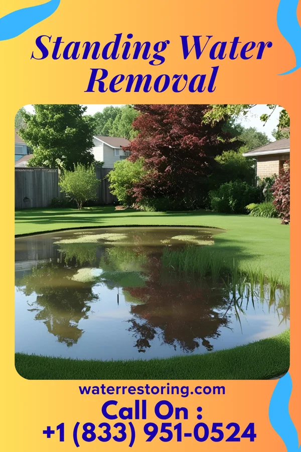 Standing Water Removal in Sloatsburg, NY